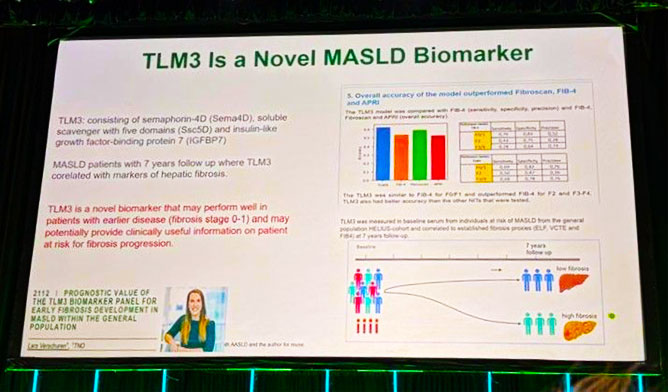 サンプルイメージ
