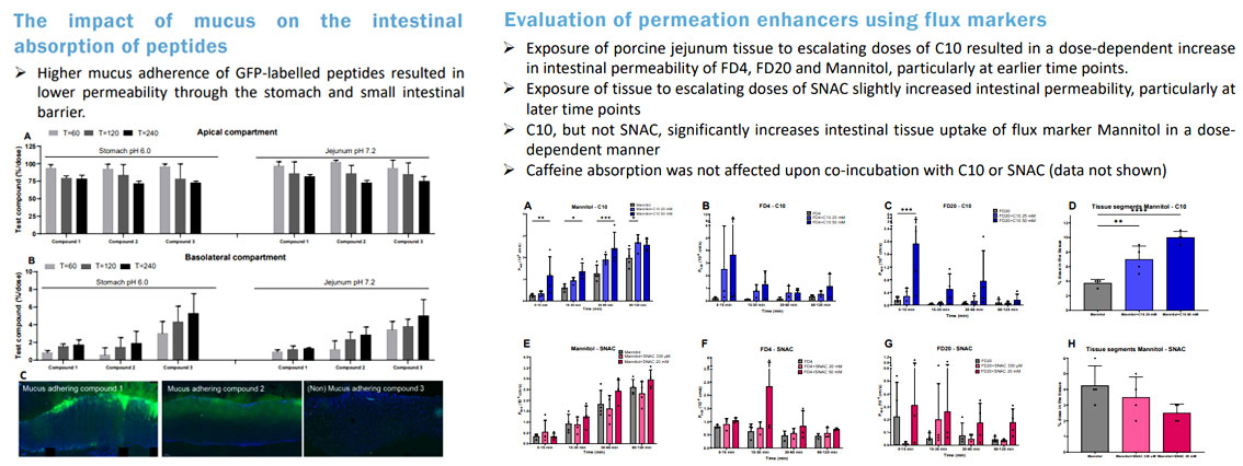 サンプルイメージ