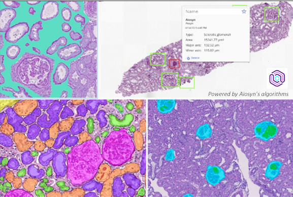 サンプルイメージ