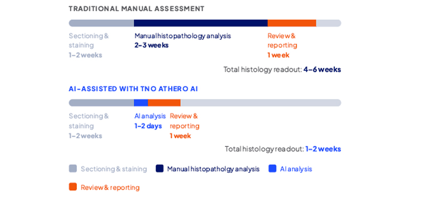 サンプルイメージ