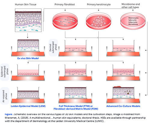 サンプルイメージ
