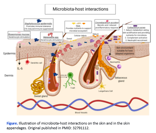 サンプルイメージ
